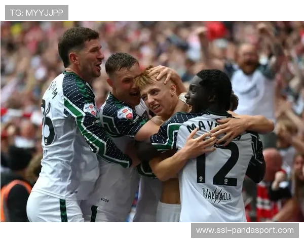 热刺1-1桑德兰,升班马客场逼平强敌